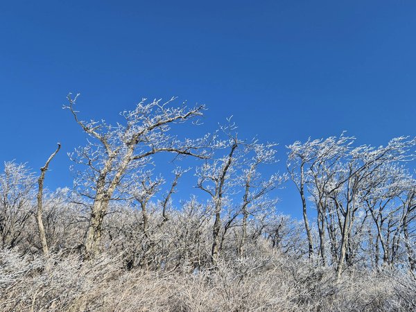 Comment la pratique régulière de la marche peut-elle réduire les risques de maladies chroniques ?