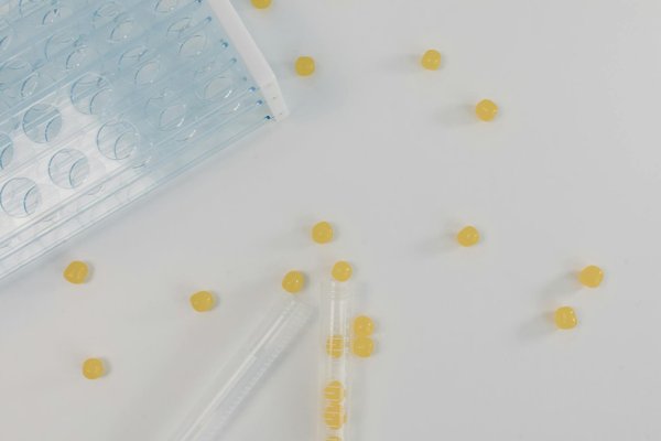 Cours de réflexologie : devenez un expert du bien-être